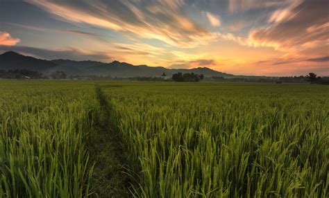 Cheap flights from Manila, Philippines to Cotabato City, .